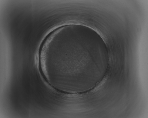 X0000100361515200806271412