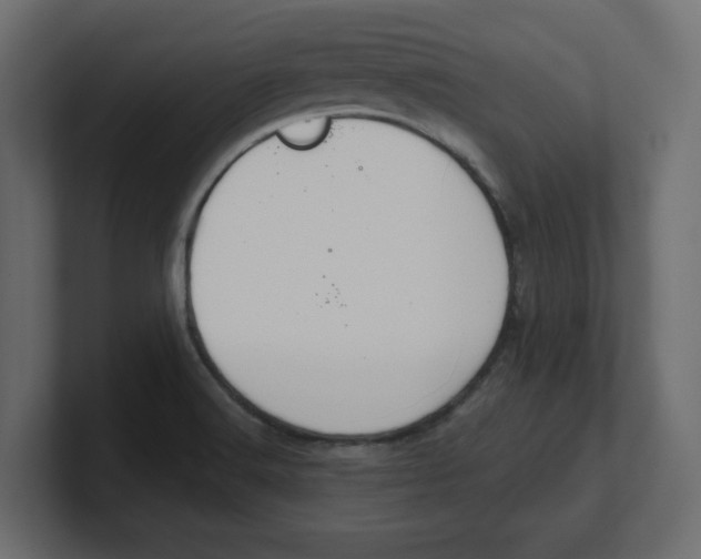 X0000100361516200806271412