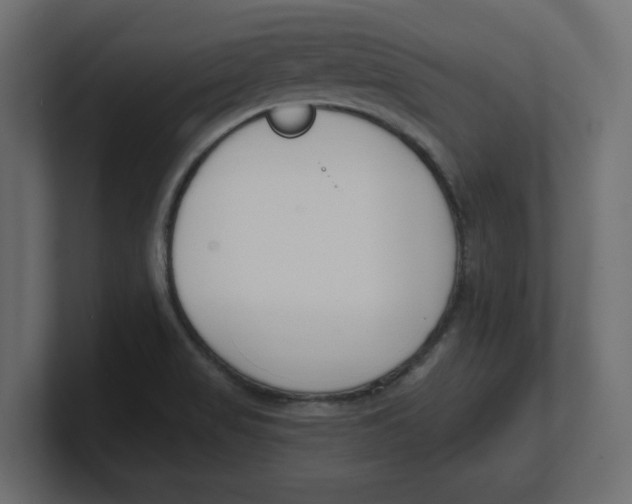 X0000100361517200806271412