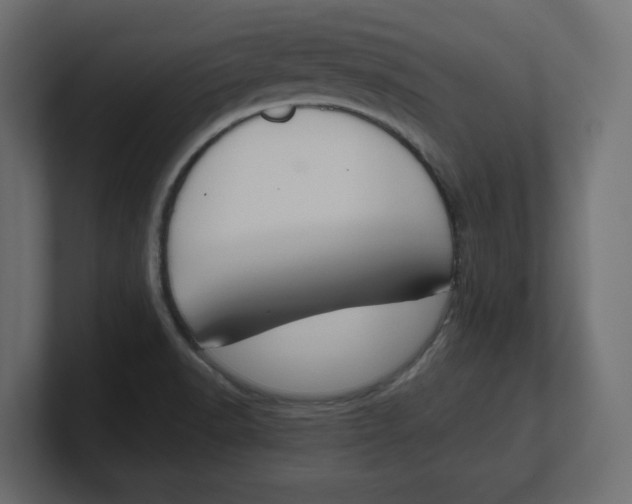 X0000100361518200806271412