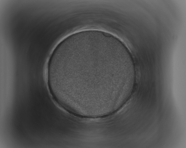 X0000100361519200806271412