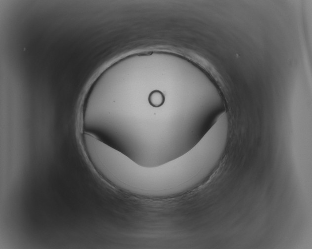 X0000100361520200806271412