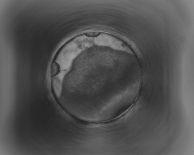 X0000100361522200806271413