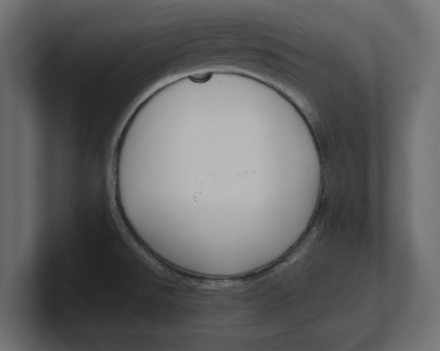 X0000100361526200806271413