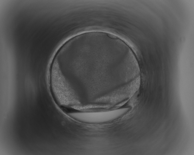 X0000100361527200806271413