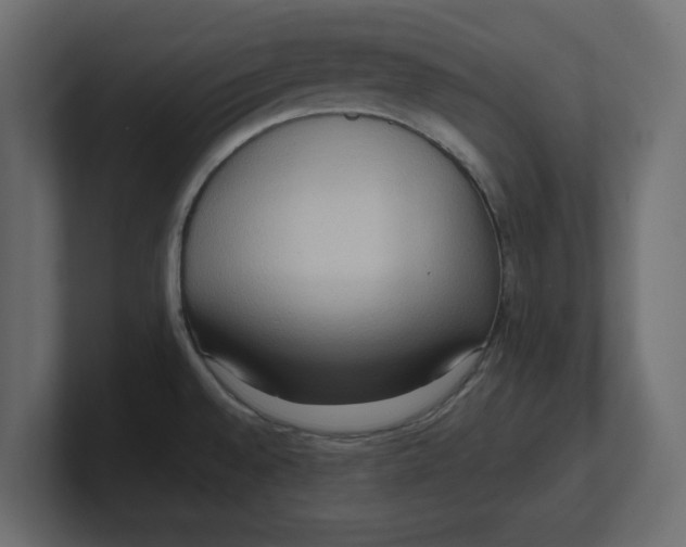 X0000100361528200806271413