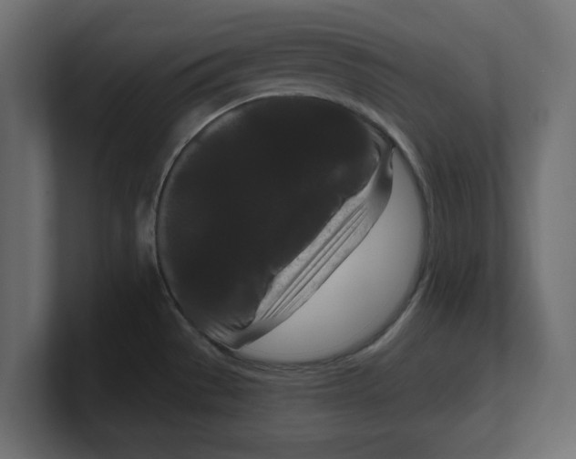 X0000100361529200806271413