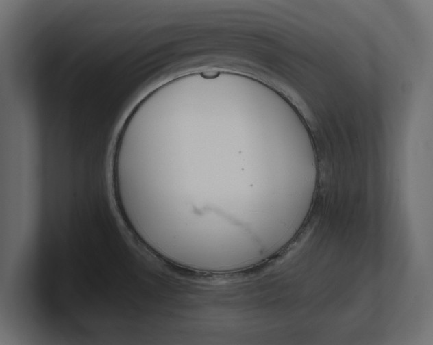 X0000100361530200806271413