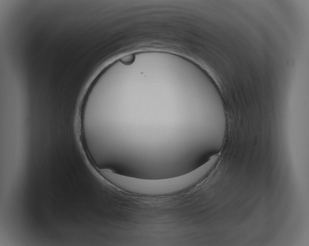 X0000100361531200806271413