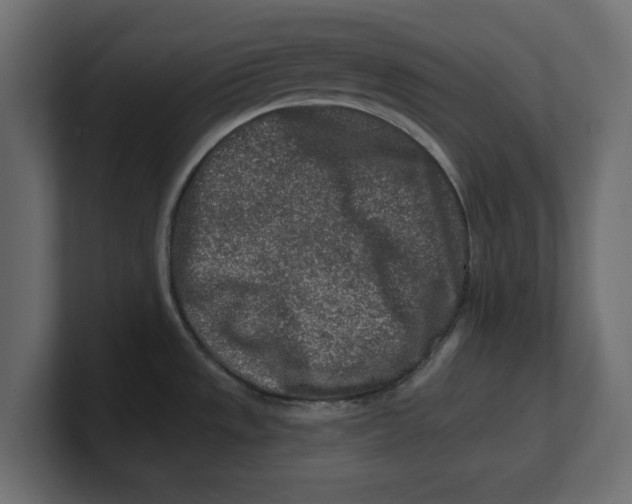 X0000100361533200806271413