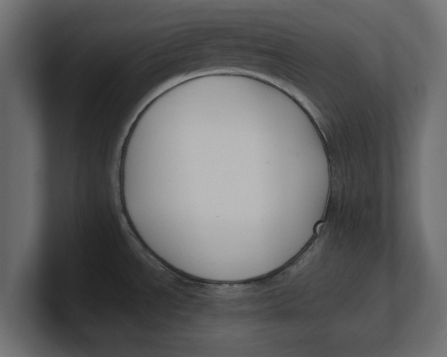 X0000100361534200806271413