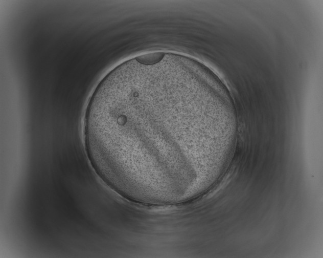 X0000100361535200806271413