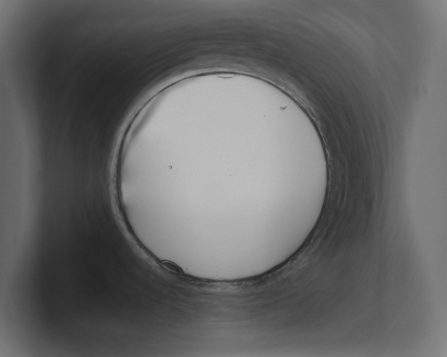 X0000100361536200806271413