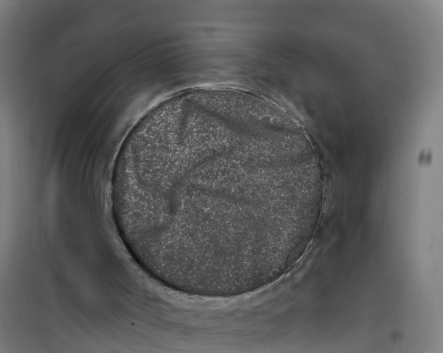 X0000100360002200807031849