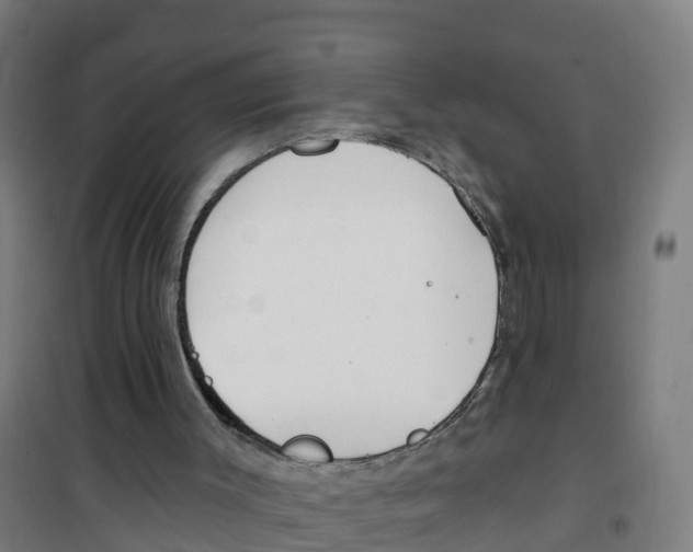 X0000100360003200807031849