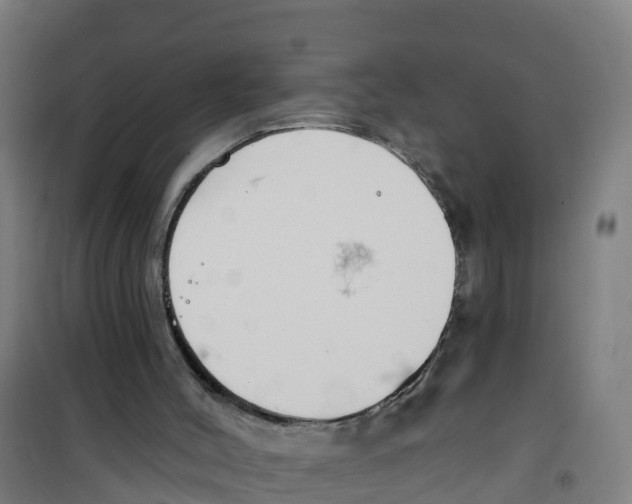 X0000100360004200807031849