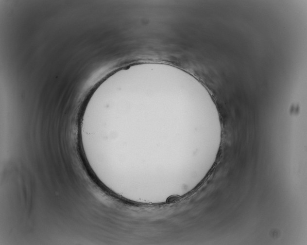 X0000100360005200807031849