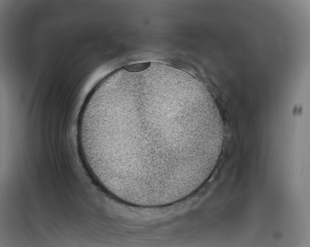 X0000100360006200807031849