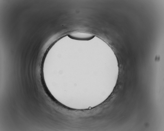 X0000100360007200807031849