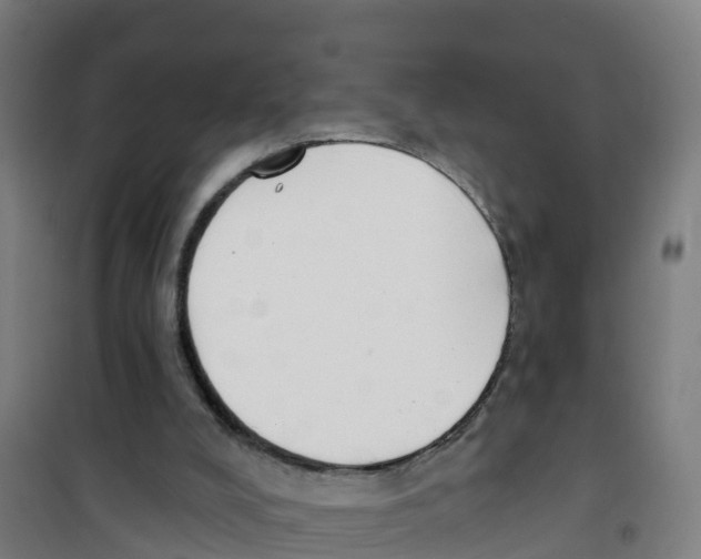 X0000100360008200807031849