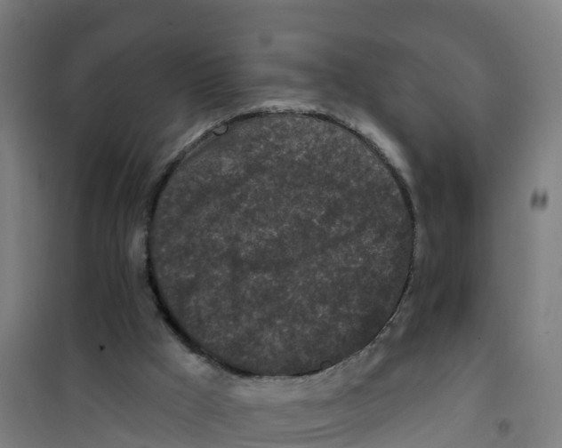 X0000100360009200807031849