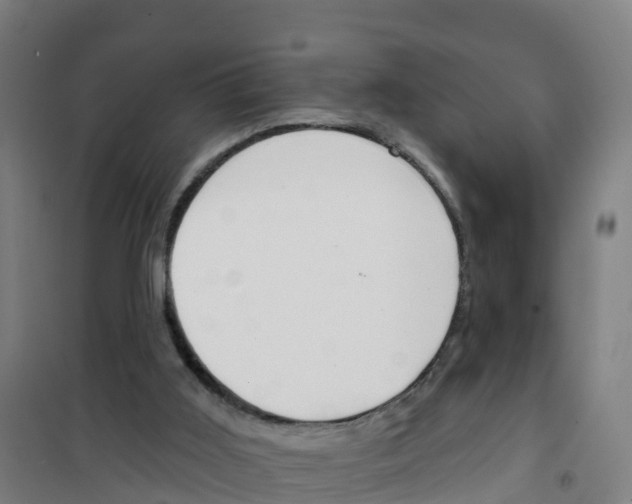 X0000100360011200807031849