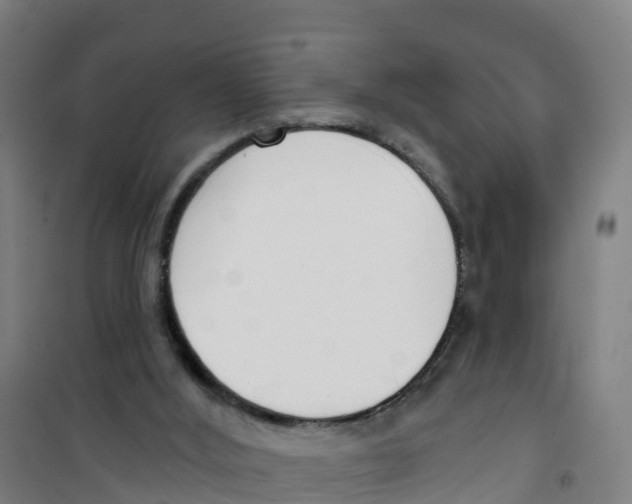 X0000100360012200807031849