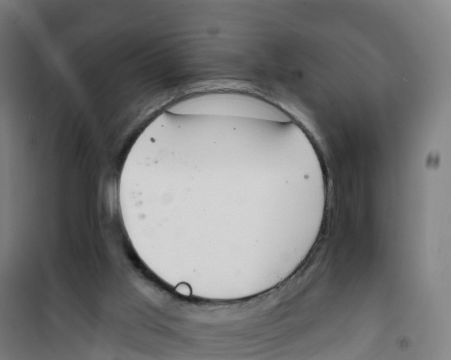 X0000100360013200807031849