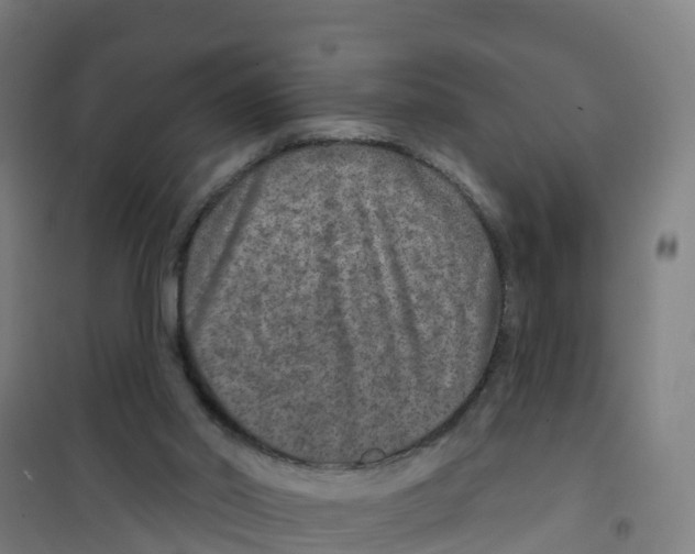 X0000100360014200807031849