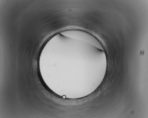 X0000100360015200807031849
