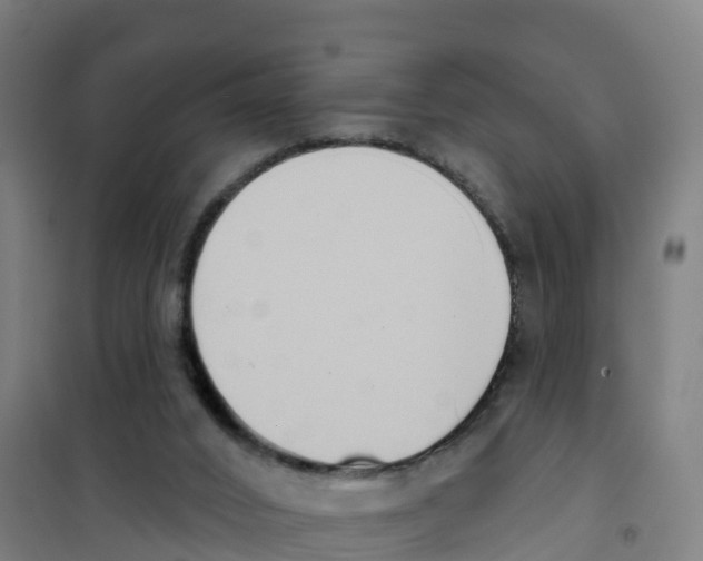 X0000100360016200807031849