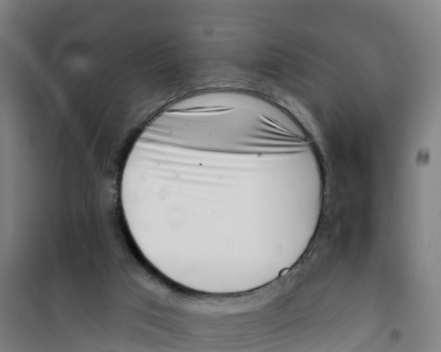 X0000100360017200807031849