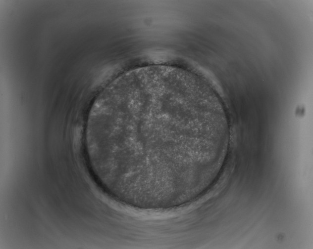 X0000100360018200807031849