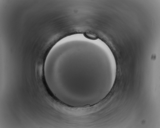 X0000100360019200807031849