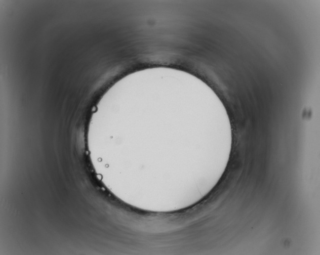 X0000100360020200807031849