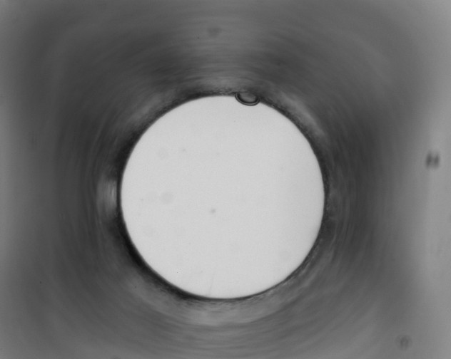 X0000100360021200807031849