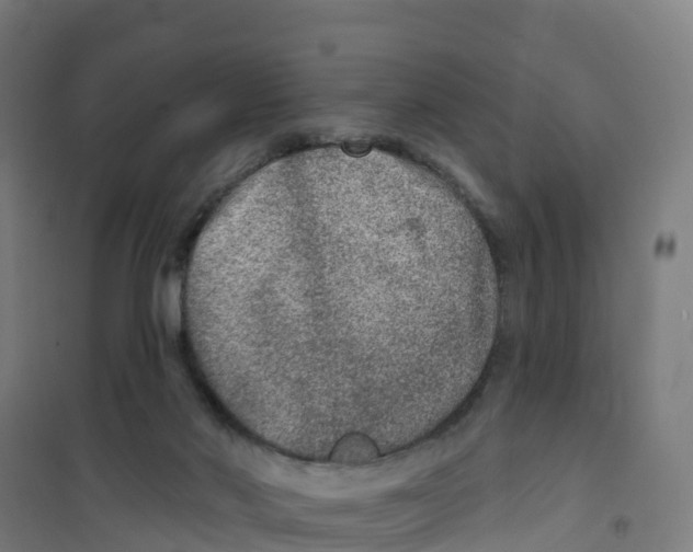 X0000100360022200807031849