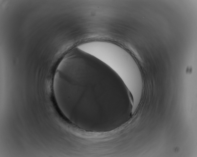 X0000100360023200807031849