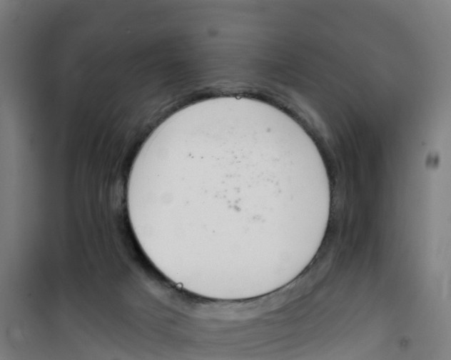 X0000100360025200807031849