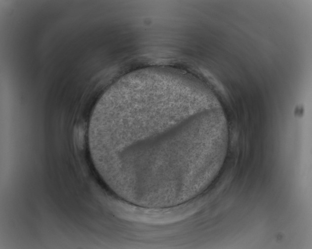 X0000100360026200807031849
