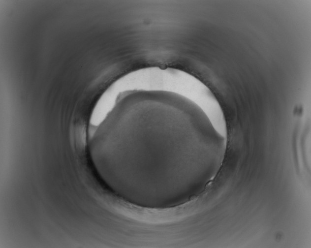 X0000100360027200807031849