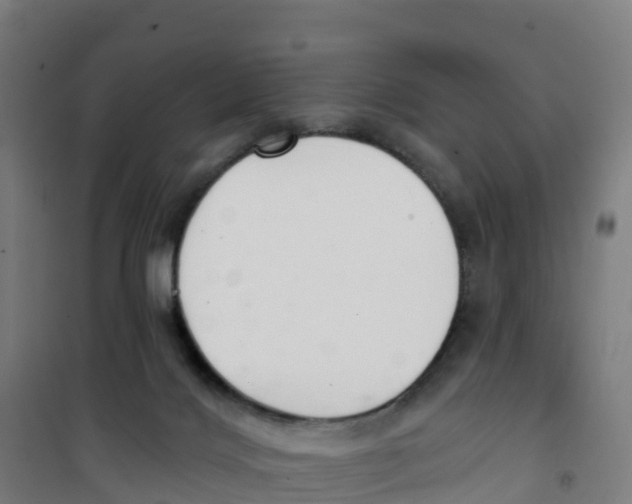 X0000100360028200807031849