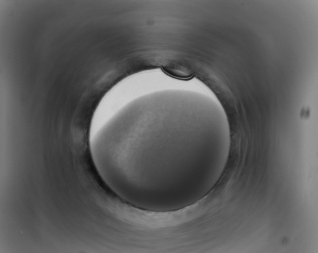 X0000100360031200807031849