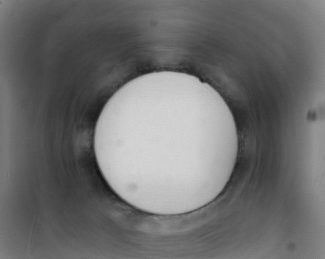 X0000100360033200807031849