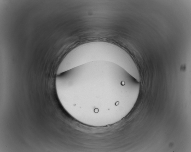 X0000100360035200807031849