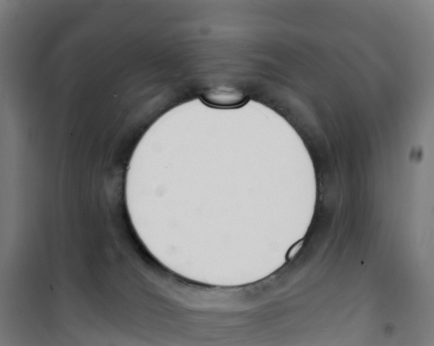 X0000100360036200807031849