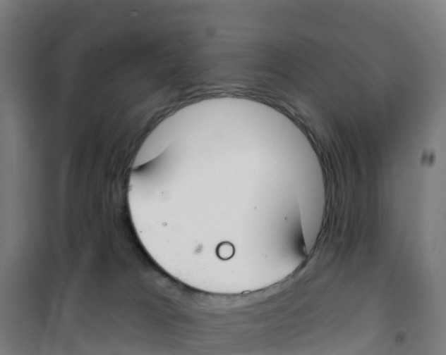 X0000100360037200807031849