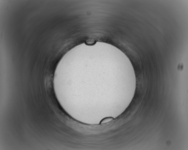 X0000100360038200807031849