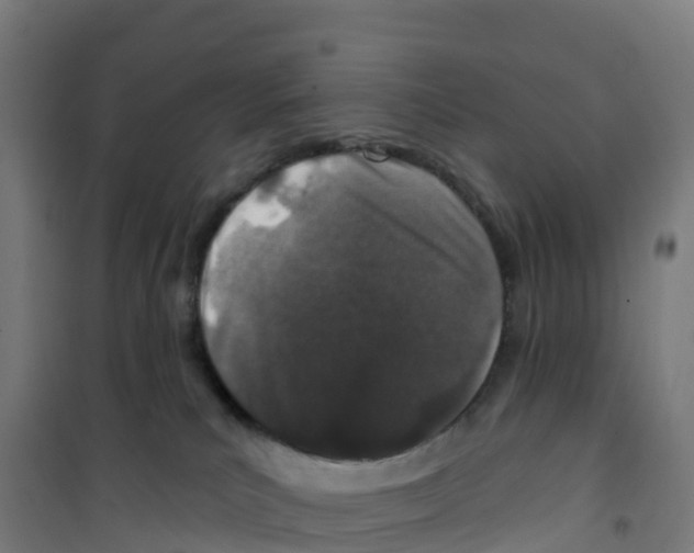 X0000100360039200807031849
