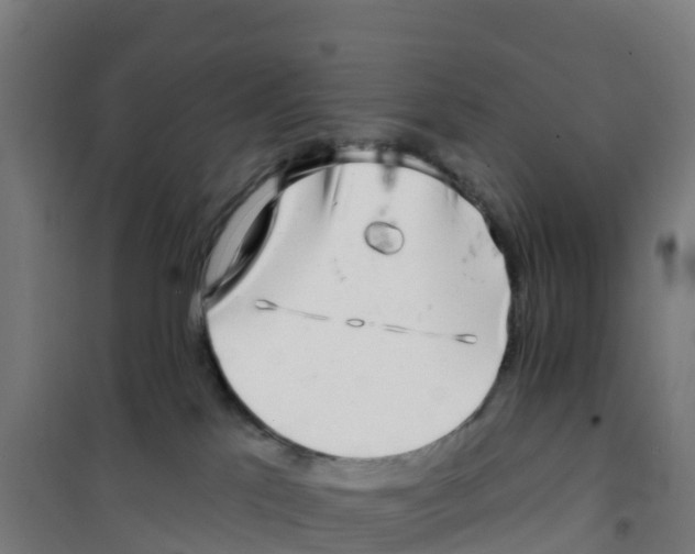 X0000100360041200807031848